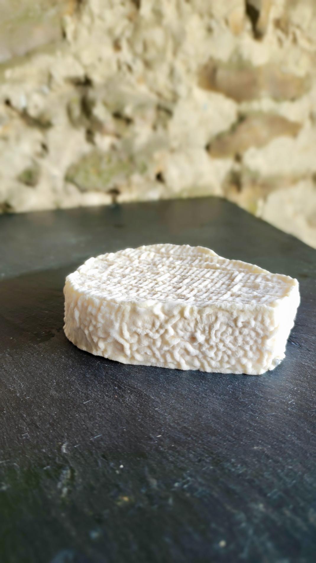 LE PETIT CHÈVRE D'ILE DE FRANCE